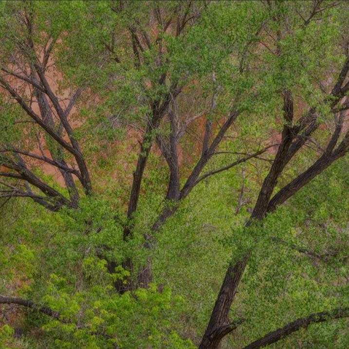 پوریا سازنده دلا دلبر تویی یارو همسر تویی با اون زلف سیاهت داری دل میبری